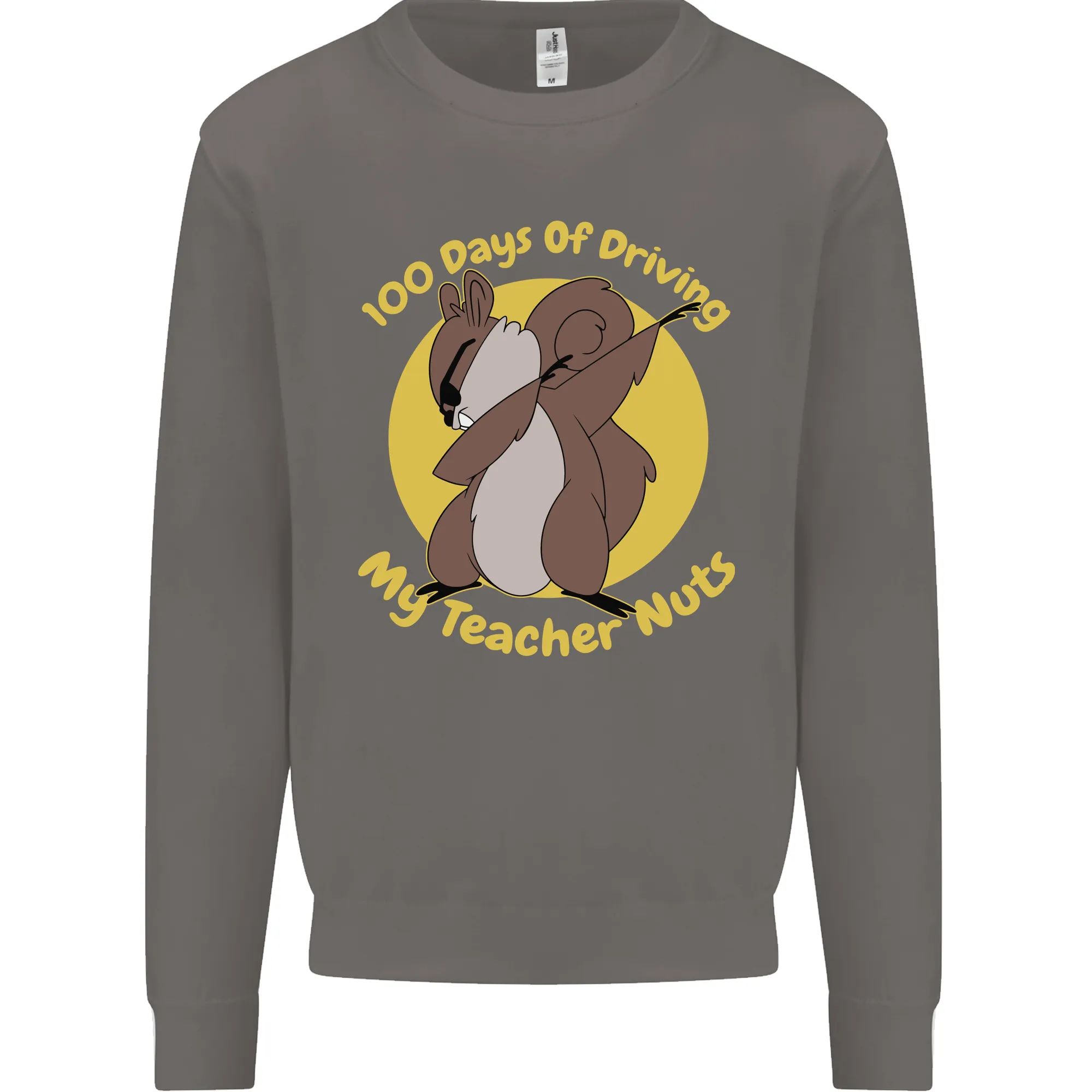 100 Days of Driving My Teacher Nuts Mens Sweatshirt Jumper