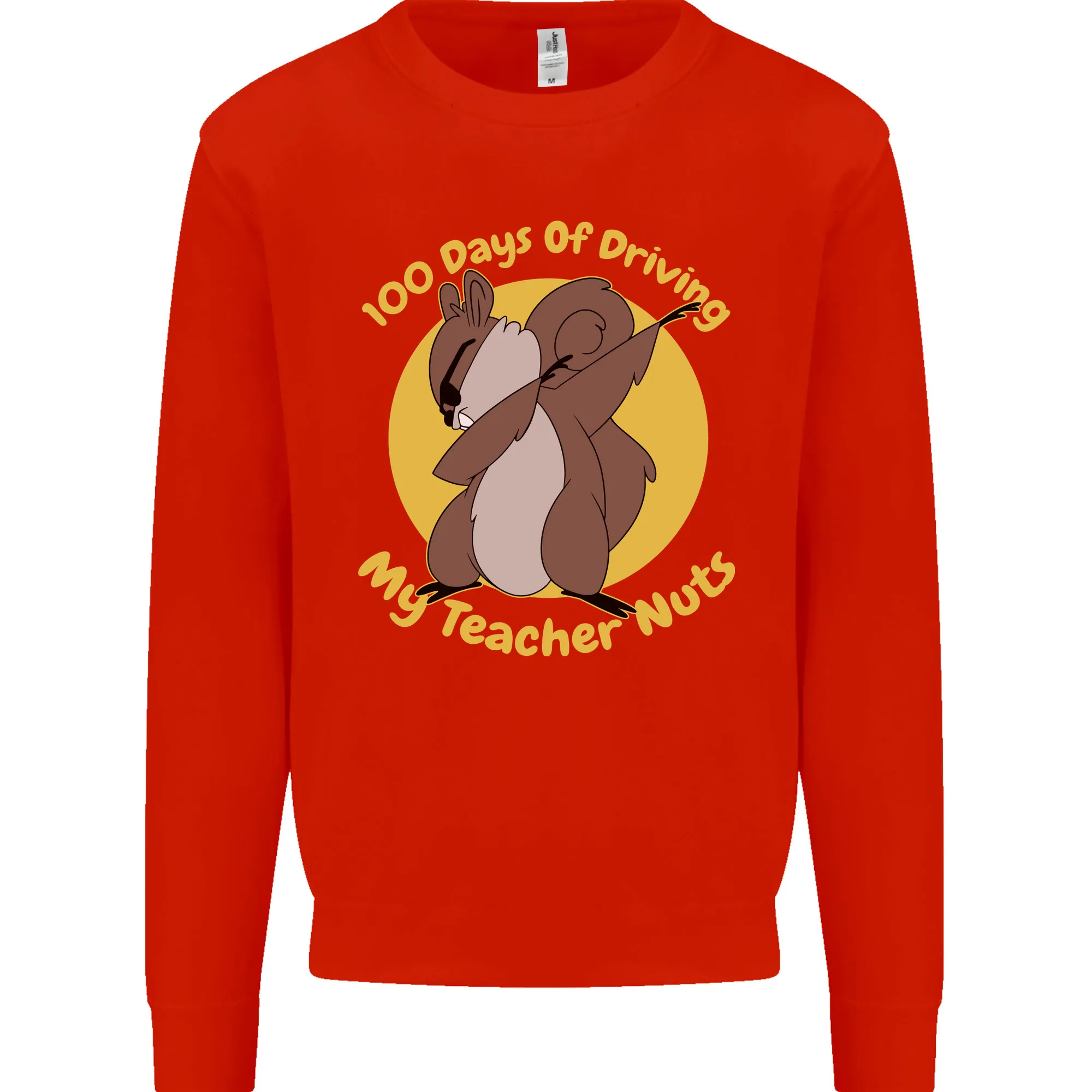 100 Days of Driving My Teacher Nuts Mens Sweatshirt Jumper