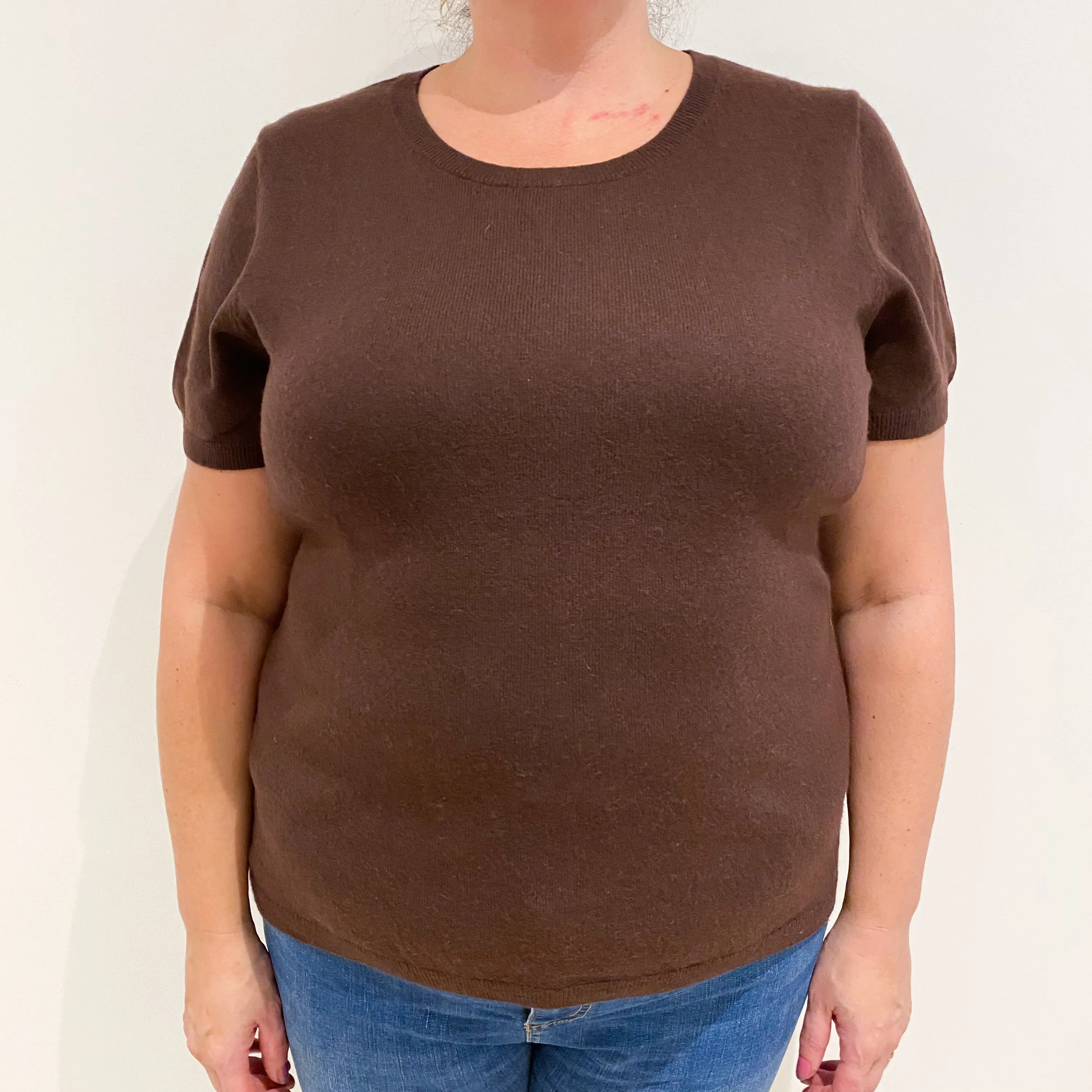 Chocolate Brown Short Sleeved Cashmere Crew Neck Jumper Extra Large